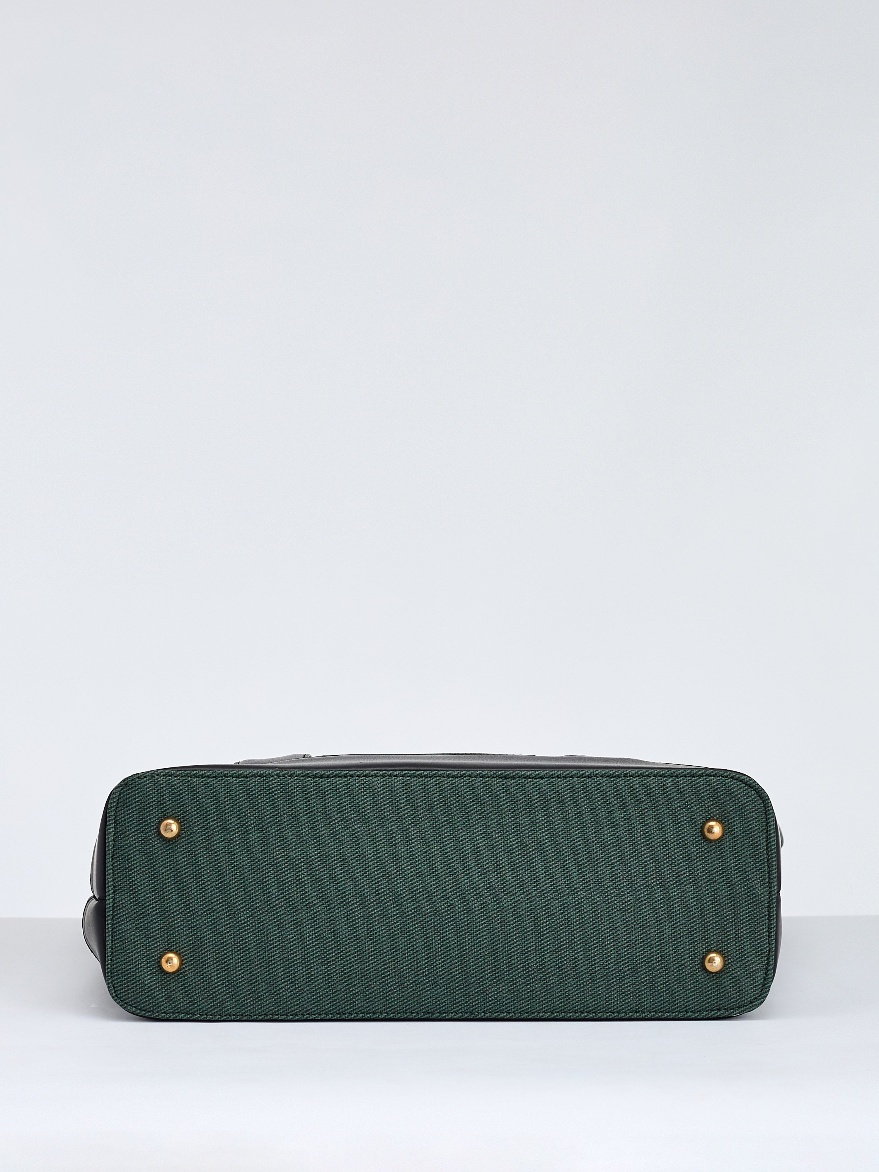Luma Green Tote Bag for Women